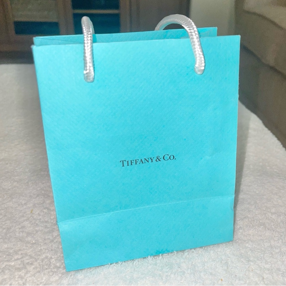 Tiffany & Co shopping bag